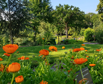 Entretien parc et jardin 28